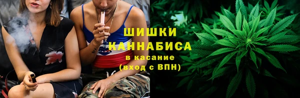 амф Новодвинск