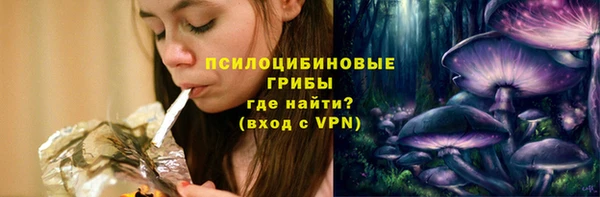 стафф Няндома