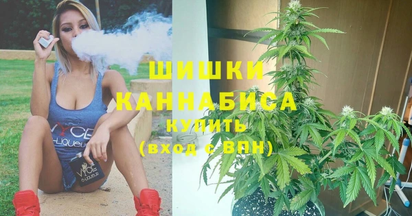 амф Новодвинск
