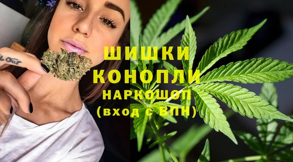 амф Новодвинск
