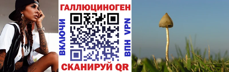 Галлюциногенные грибы Psilocybine cubensis  блэк спрут ССЫЛКА  Ярославль 