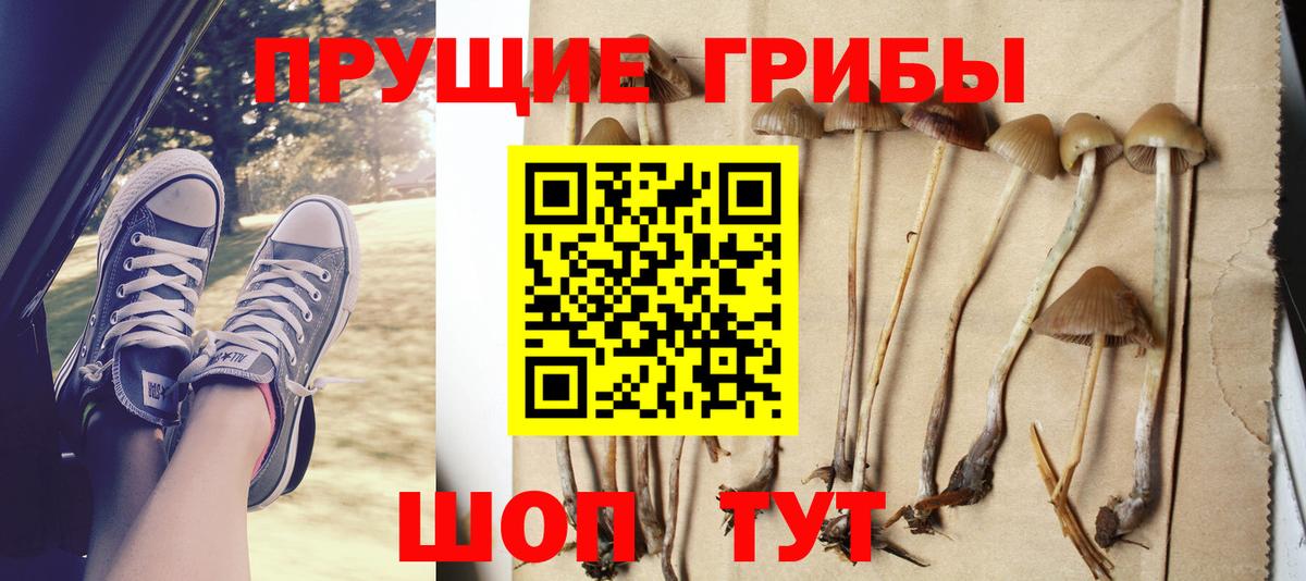Псилоцибиновые грибы Magic Shrooms  Галлюциногенные грибы Psilocybine cubensis  Ярославль  Вход с VPN 