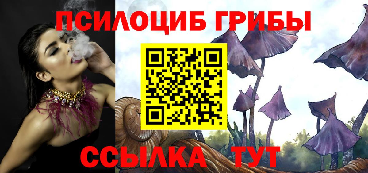 Псилоцибиновые грибы Cubensis  Псилоцибиновые грибы мухоморы  Ярославль 