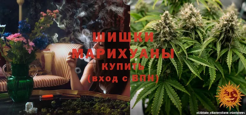 Бошки Шишки LSD WEED  магазин  наркотиков  Ярославль 