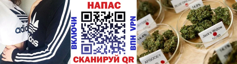 MEGA ONION дарнет шоп Ярославль МАРИХУАНА White Widow