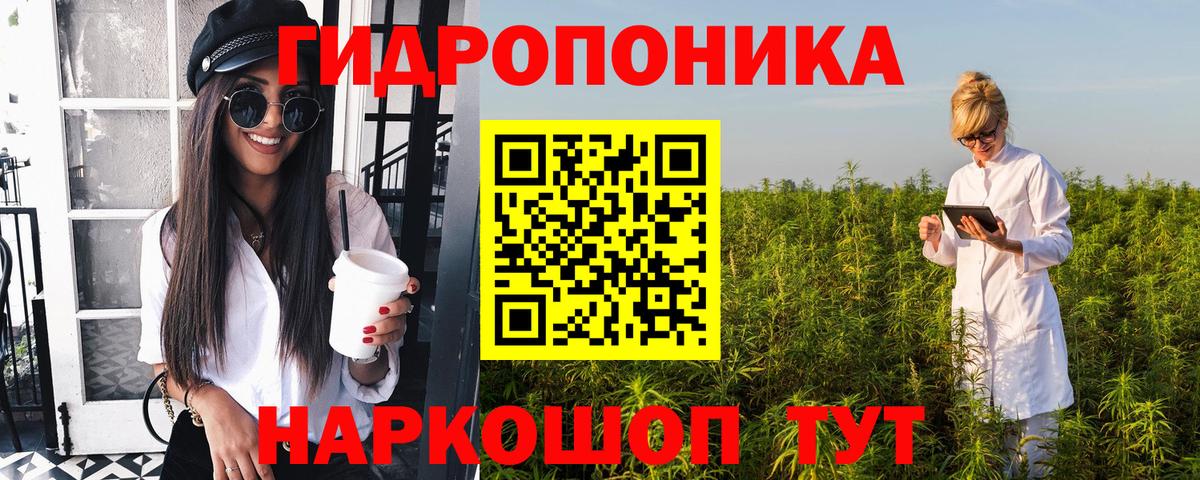 МАРИХУАНА ГИДРОПОН  МАРИХУАНА AK-47  Вход с VPN  Каннабис планчик  Ярославль 